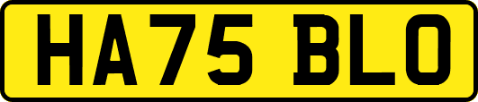 HA75BLO