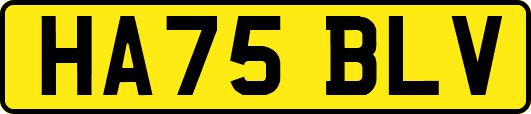 HA75BLV