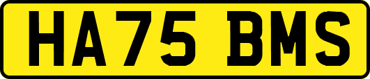 HA75BMS