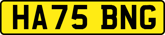 HA75BNG