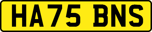 HA75BNS