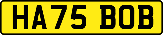 HA75BOB