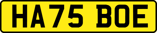 HA75BOE