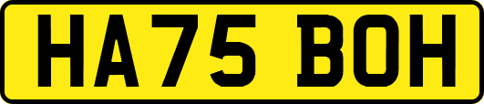 HA75BOH