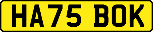 HA75BOK