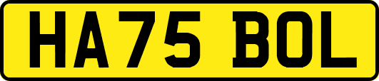 HA75BOL