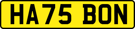 HA75BON