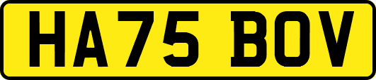 HA75BOV