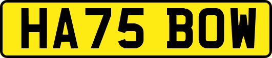 HA75BOW
