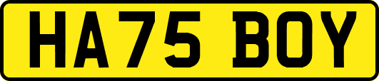 HA75BOY