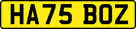 HA75BOZ