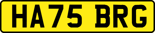 HA75BRG