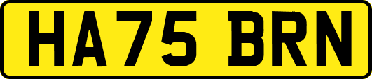 HA75BRN