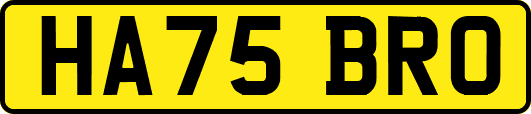 HA75BRO