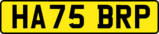 HA75BRP