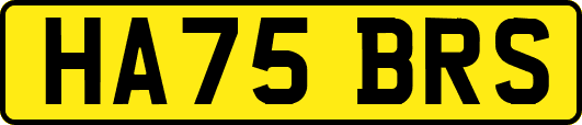 HA75BRS