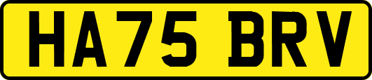 HA75BRV