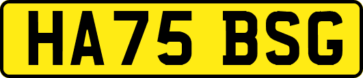 HA75BSG