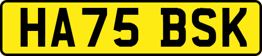HA75BSK