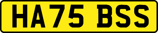 HA75BSS