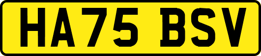 HA75BSV