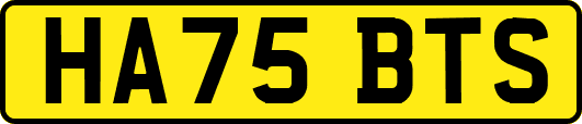 HA75BTS