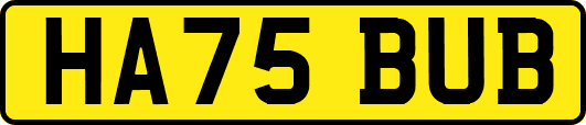 HA75BUB