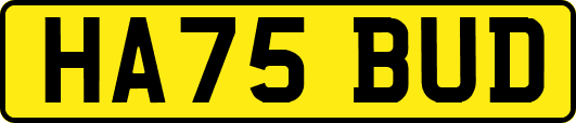HA75BUD