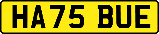 HA75BUE