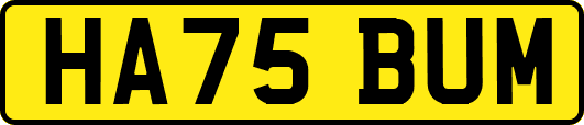 HA75BUM
