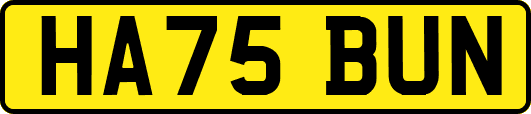 HA75BUN