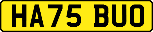 HA75BUO