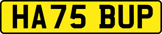 HA75BUP
