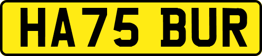 HA75BUR