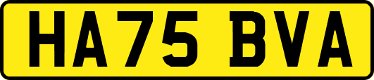 HA75BVA