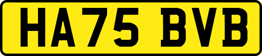 HA75BVB