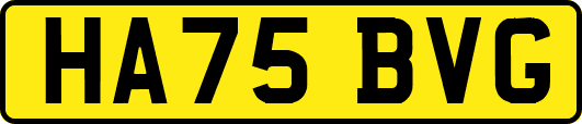 HA75BVG