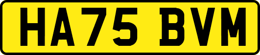 HA75BVM