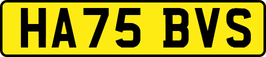 HA75BVS