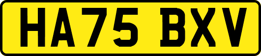 HA75BXV