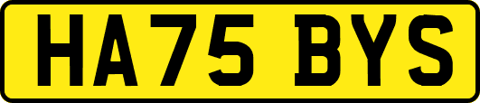 HA75BYS