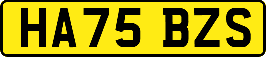 HA75BZS