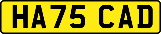 HA75CAD