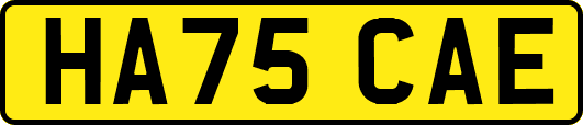 HA75CAE
