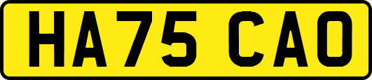 HA75CAO
