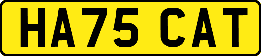 HA75CAT