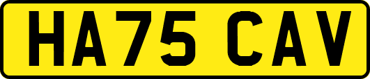 HA75CAV