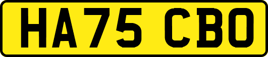 HA75CBO