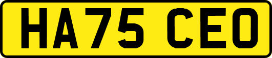 HA75CEO