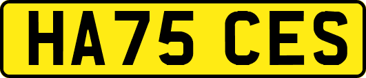 HA75CES